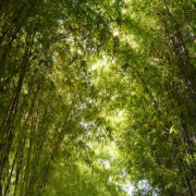 Øvrige bambusprodukter