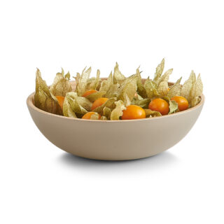 Lille salat skål